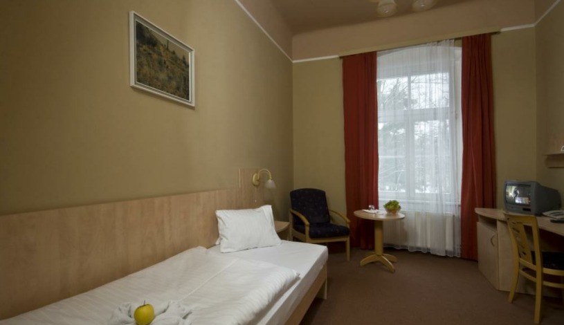 Lázeňský hotel Metropol Spa & Kurhotel Františkovy Lázně - Standard 1/1